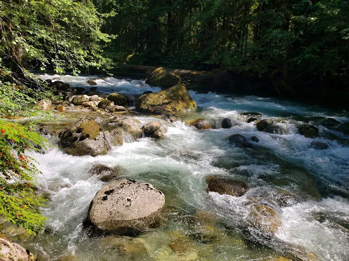 Buck Creek Campground Picture 4