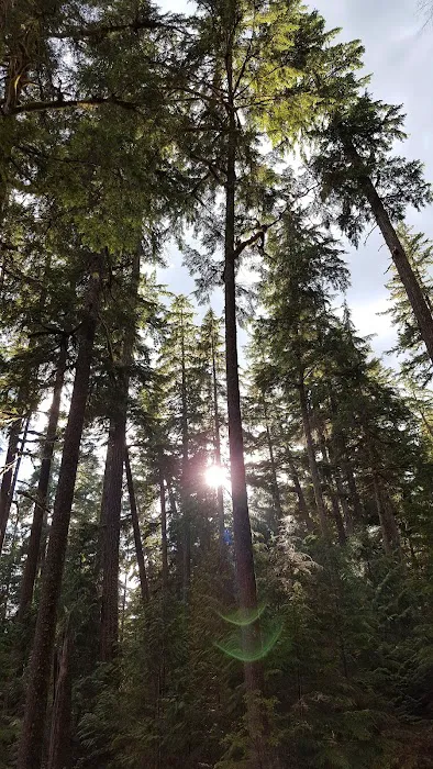 Buck Creek Campground Picture 8