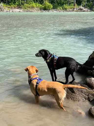 Buster's on the Sauk Picture 10