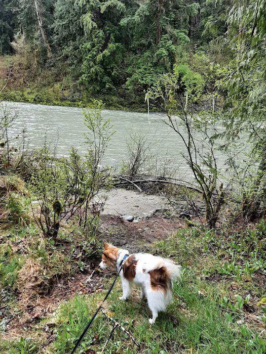 Turlo Campground Picture 4