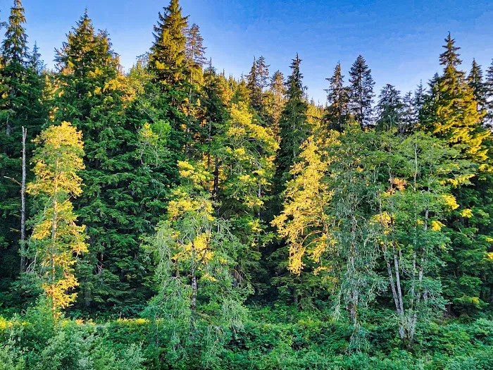 Turlo Campground Picture 5