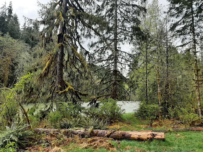 Turlo Campground Picture 2