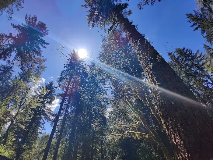 Turlo Campground Picture 9