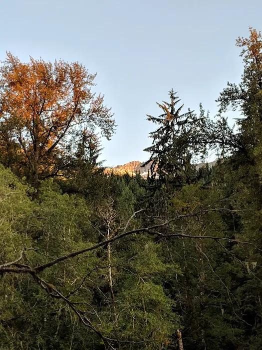 Turlo Campground Picture 10