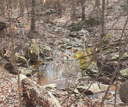 Stoney Chase and Rock Creek MHC