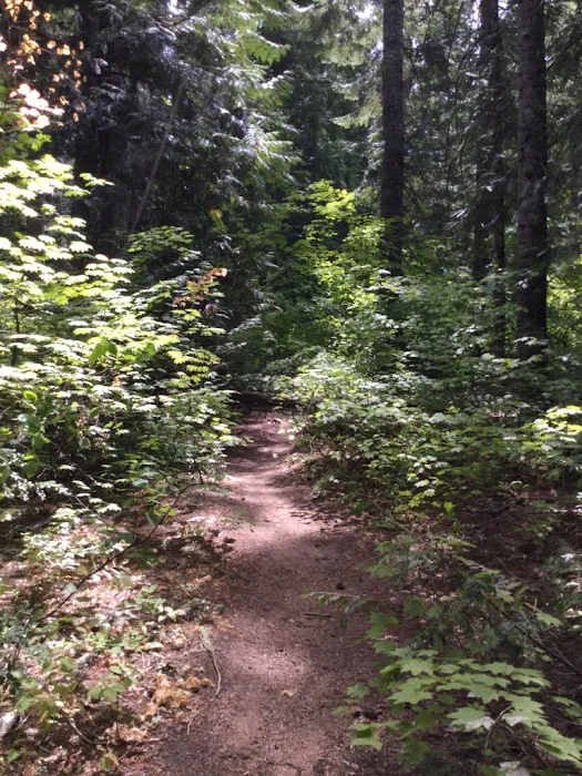 Grasshopper Meadows Campground Picture 7