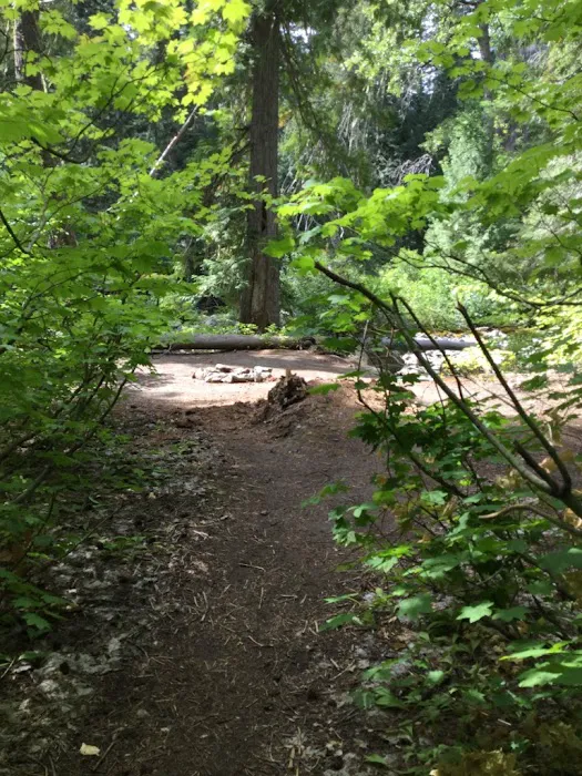 Grasshopper Meadows Campground Picture 5