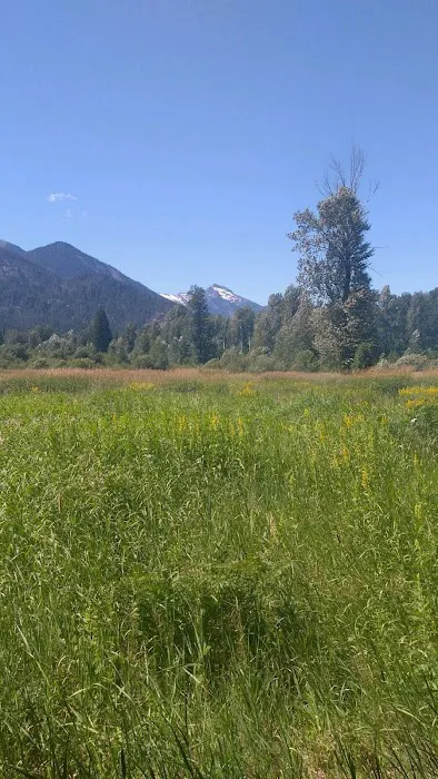 Grasshopper Meadows Campground Picture 6