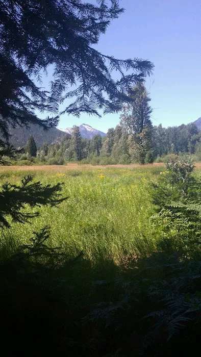Grasshopper Meadows Campground Picture 2