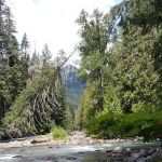 Grasshopper Meadows Campground