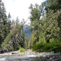 Grasshopper Meadows Campground ico