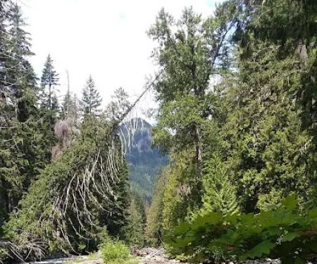 Grasshopper Meadows Campground