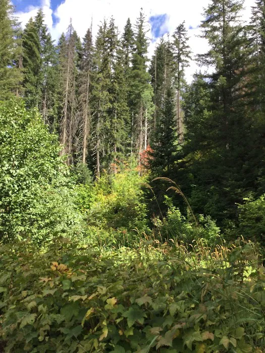 Napeequa Crossing Campground Picture 3