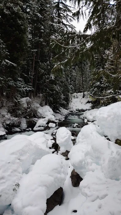 White River Falls Campground Picture 6
