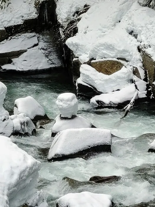 White River Falls Campground Picture 7
