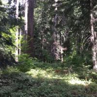 White River Falls Campground ico