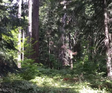 White River Falls Campground