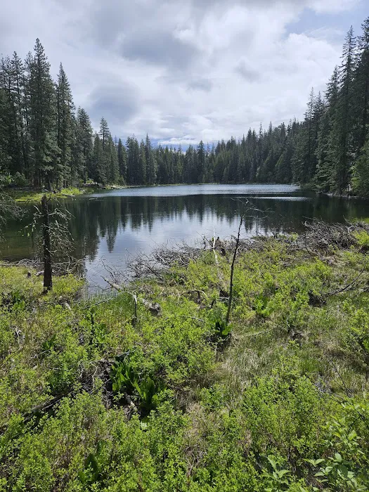 Glacier View Campground Picture 1