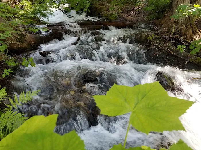 Glacier View Campground Picture 10