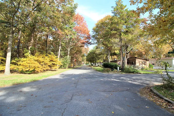 Oak Forest Mobile Home Park Picture 3