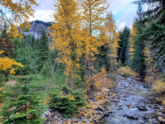 Rock Creek Campground Picture 1