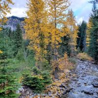 Rock Creek Campground ico