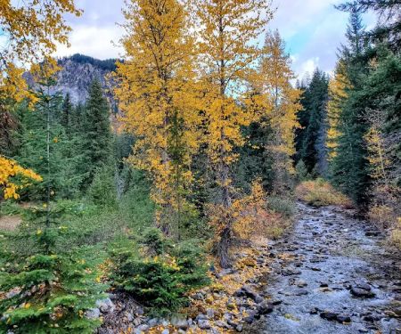 Rock Creek Campground