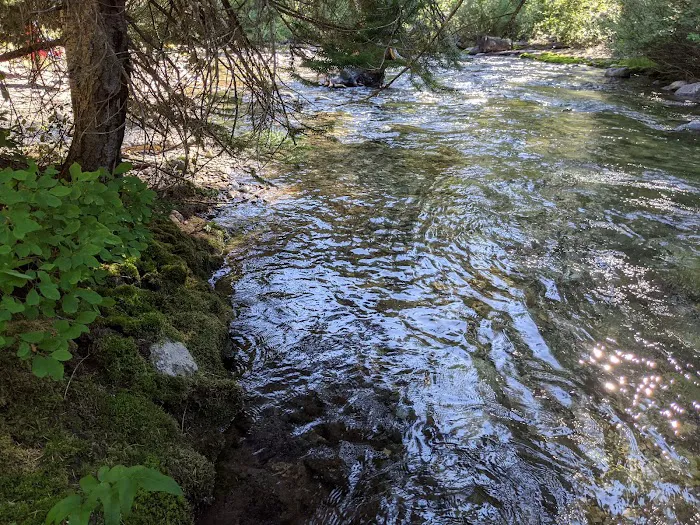 Rock Creek Campground Picture 2