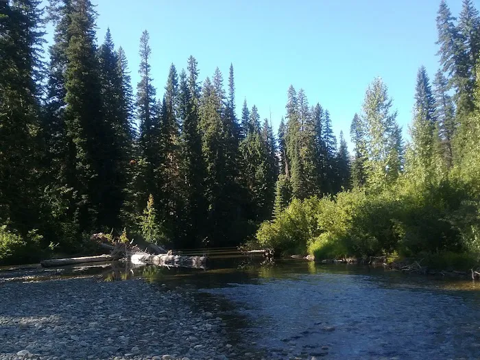 Atkinson Flat Campground Picture 4