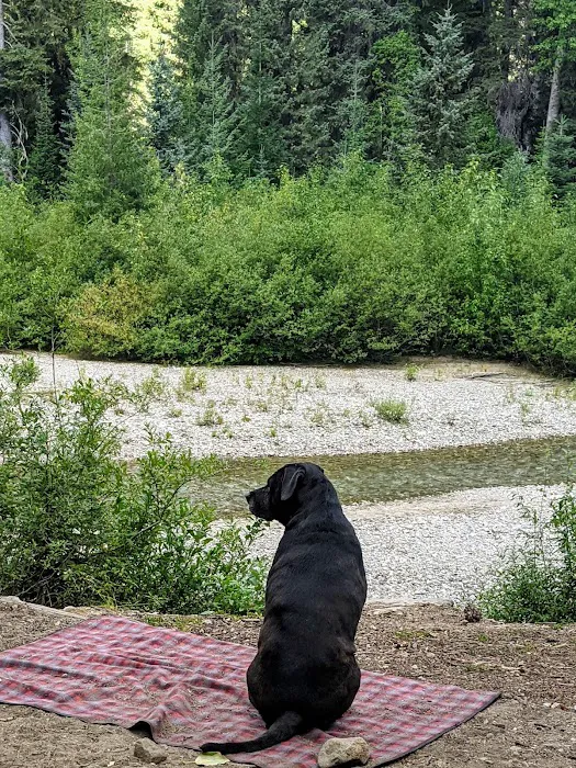 Atkinson Flat Campground Picture 1
