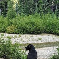 Atkinson Flat Campground ico