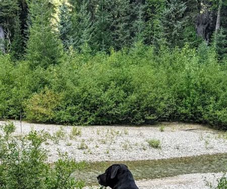 Atkinson Flat Campground