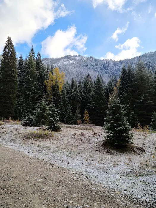 Atkinson Flat Campground Picture 6