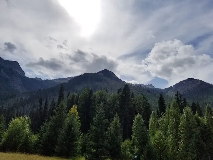 Atkinson Flat Campground Picture 9