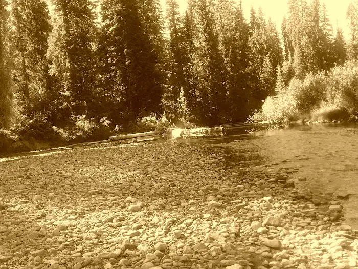 Atkinson Flat Campground Picture 5