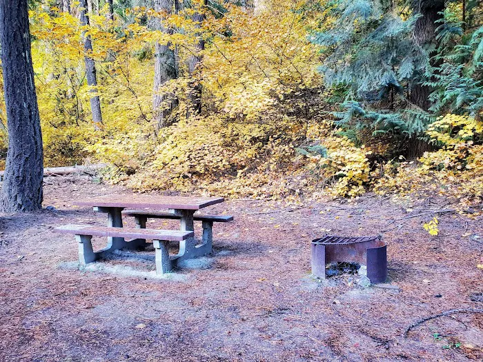 Finner Creek Campground Picture 2