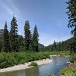 Nineteenmile Campground