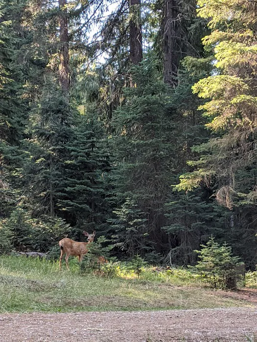 Nineteenmile Campground Picture 5