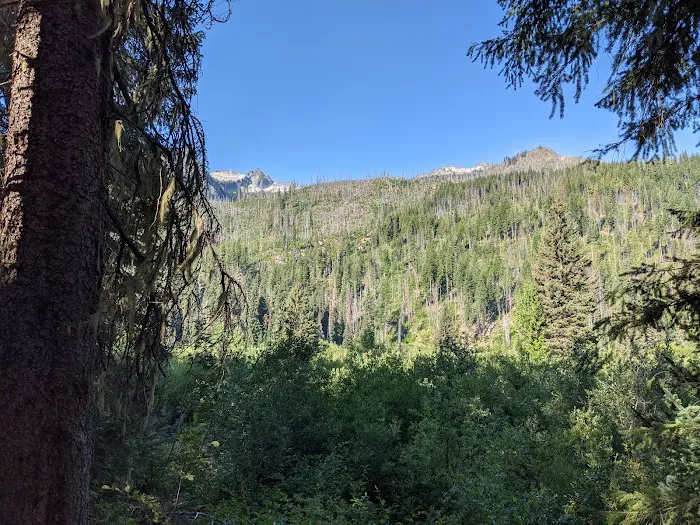 Nineteenmile Campground Picture 8