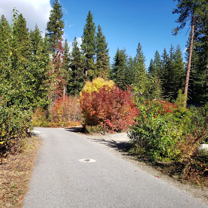 Lake Wenatchee North Campground (Sites 101-197) Picture 8