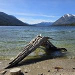 Lake Wenatchee North Campground (Sites 101-197)