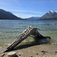 Lake Wenatchee North Campground (Sites 101-197) ico
