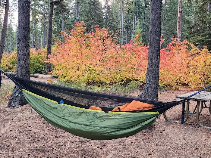 Lake Wenatchee South Campground (Sites 1-100) Picture 1