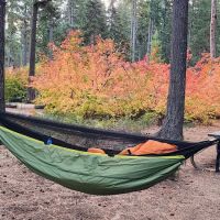Lake Wenatchee South Campground (Sites 1-100) ico