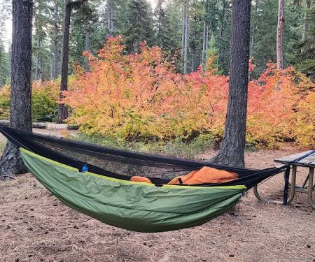 Lake Wenatchee South Campground (Sites 1-100)
