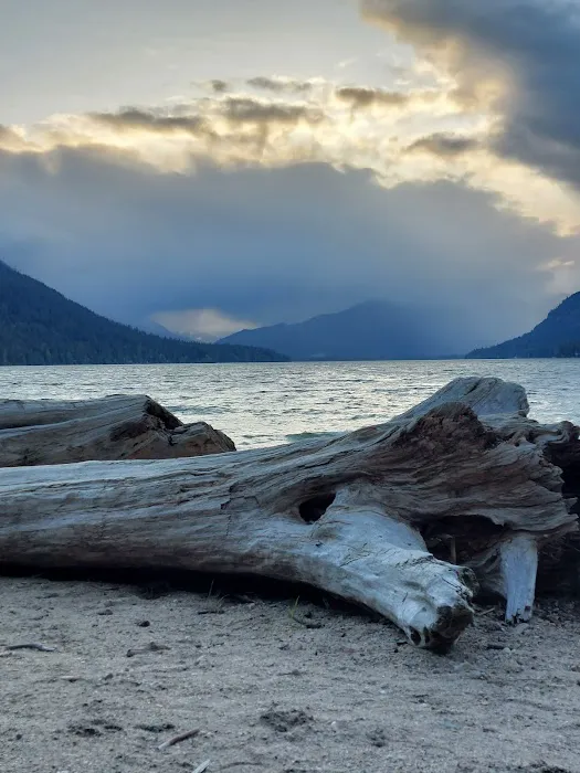 Lake Wenatchee South Campground (Sites 1-100) Picture 7