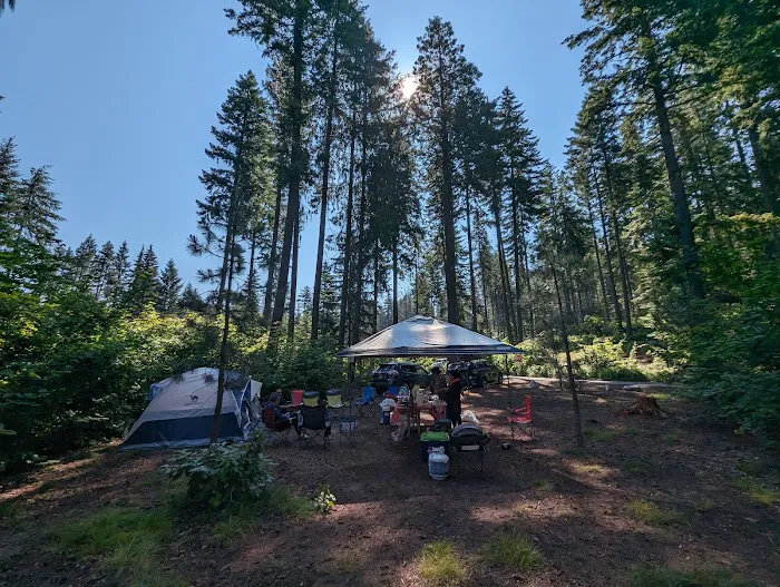 Lake Wenatchee South Campground (Sites 1-100) Picture 9