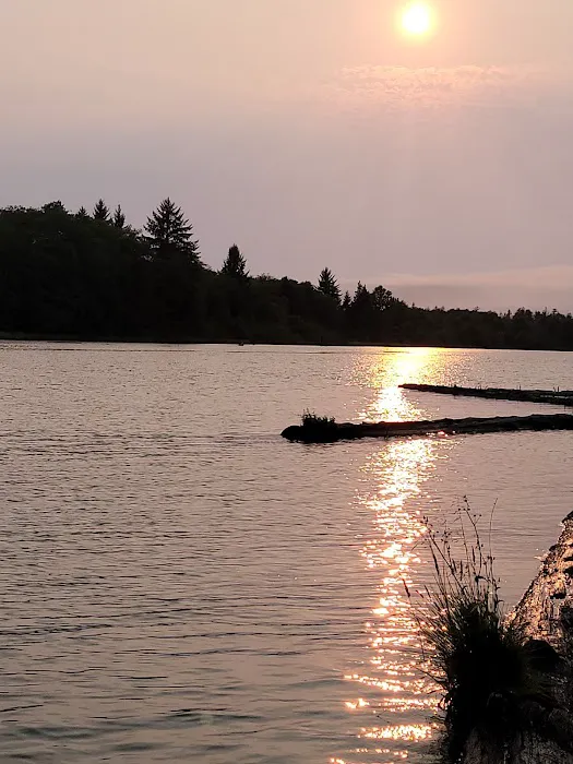 Friends Landing-Camping Picture 9