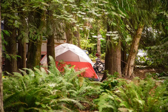 Thousand Trails Chehalis Picture 2