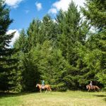 Thousand Trails Chehalis